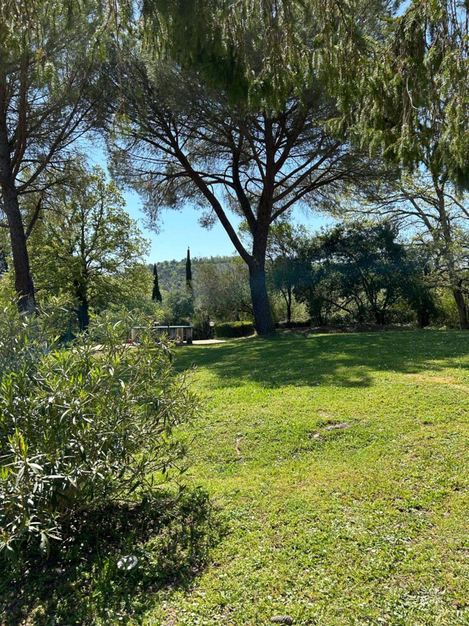 Campo Di Carlo Sassetta Exterior foto